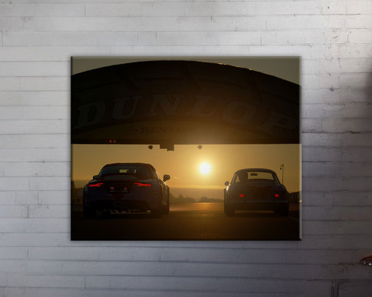 Toile HD Alpines Aseptogyl le Mans "Sunset"